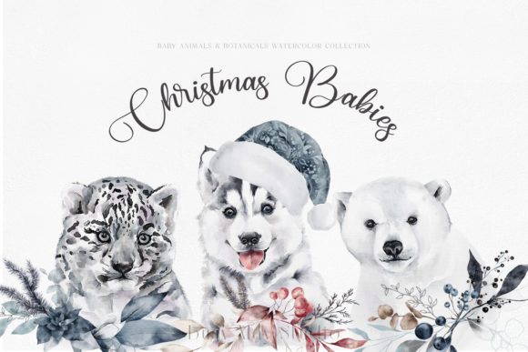 Christmas Baby Animals Penguin Seal PNG Illustrations