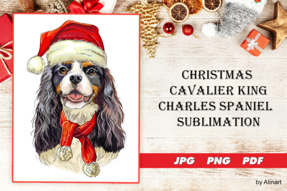 Christmas Cavalier King Charles Spaniel Illustration Review